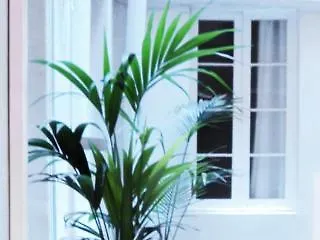 La Isla Hostal Barcelona Spain